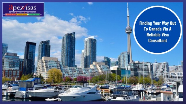 Finding Your Way Out To Canada Via A Reliable Visa Consultant