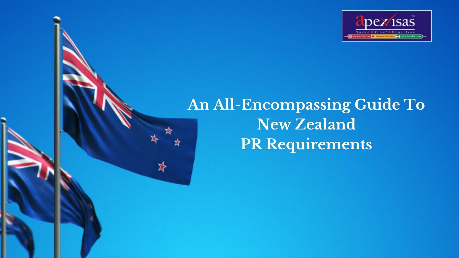 travelling to nz requirements
