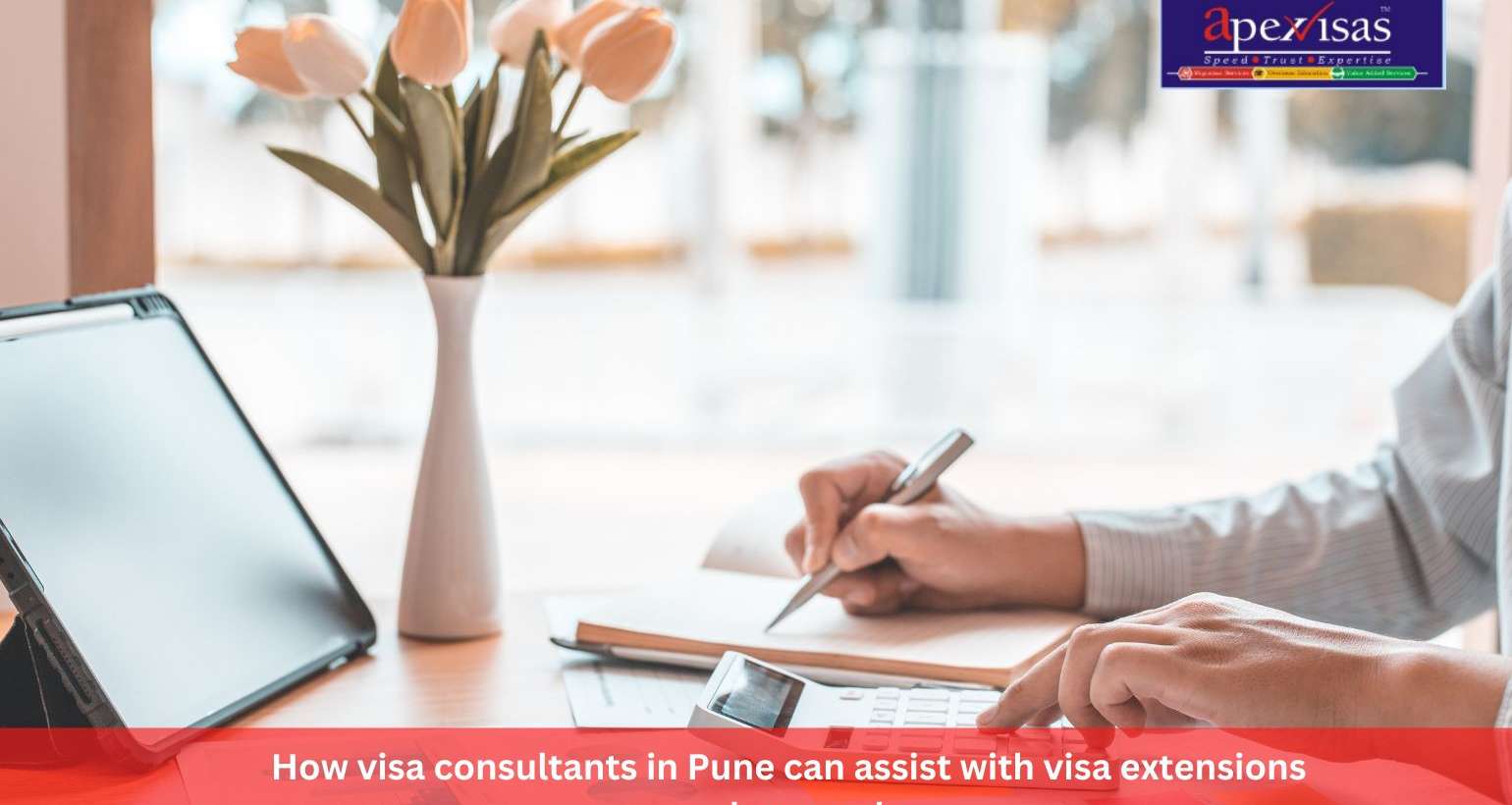 How visa consultants in Pune can assist with visa extensions and renewals