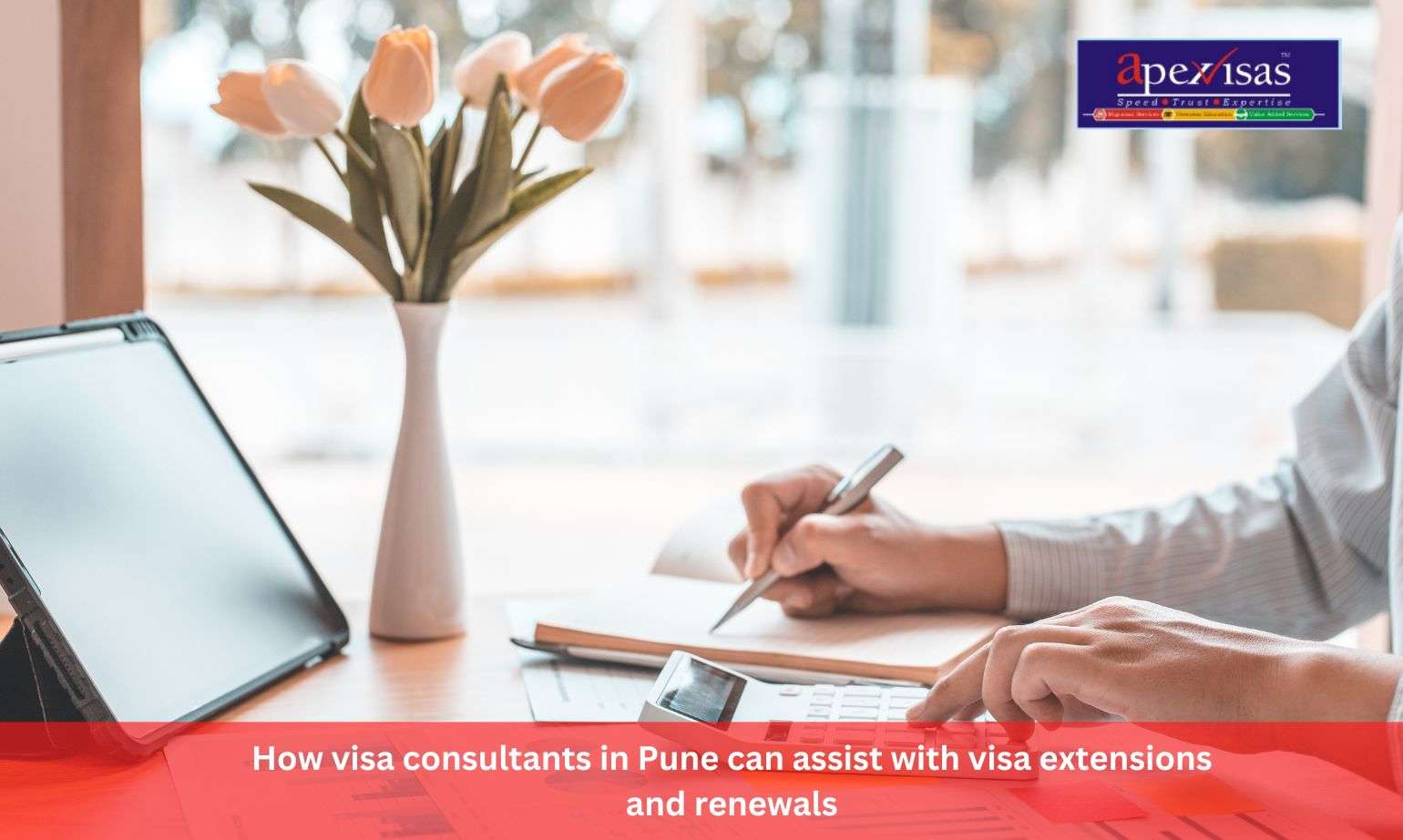 How visa consultants in Pune can assist with visa extensions and renewals